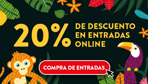 20% dto entrades